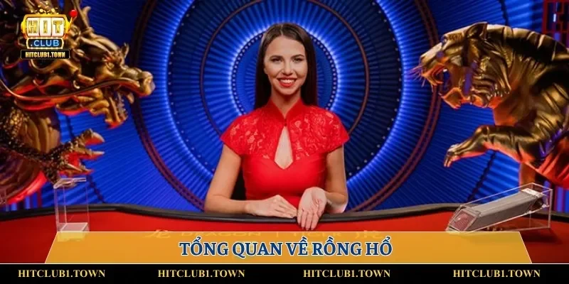 Tổng quan về rồng hổ